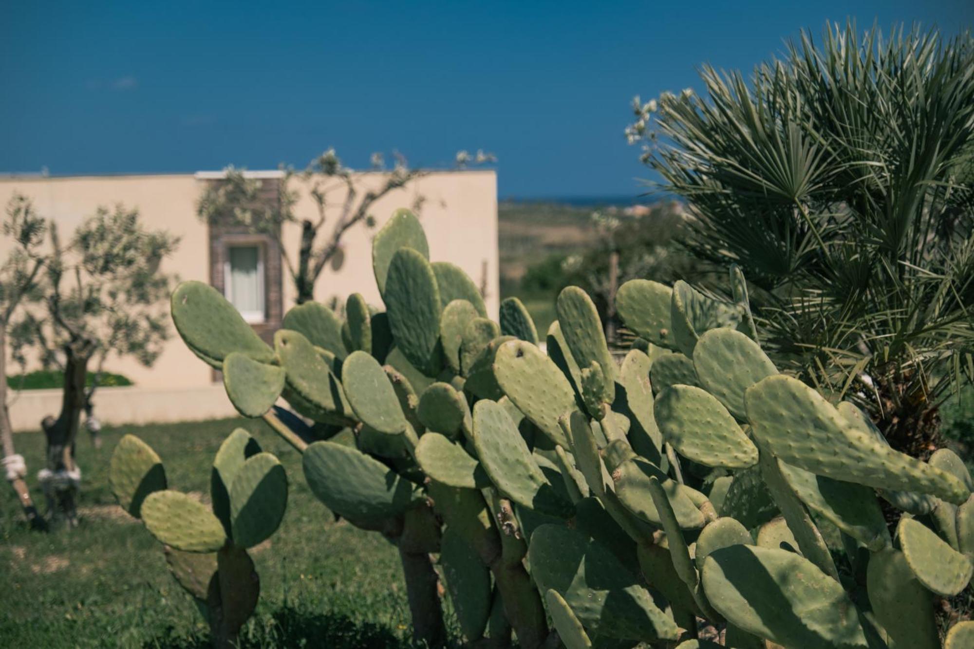 New Exclusive Lodges, Marzamemi, Noto Pachino Esterno foto